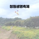 청원 | 청원생명축제 2025 후기 주차 입장료 먹거리 총정리