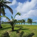 777 피시 이미지