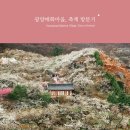 의성봄꽃농원 | 광양 여행 : 광양매화축제에 다녀오다