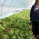 문경식농장 이미지