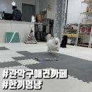 한끼멍냥 이미지