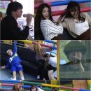 스타 디스코팡팡 이미지