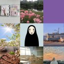 씨스페이스 한아름점 | 6월의 소확행