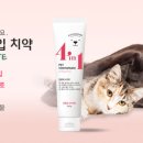 스토리펫 이미지