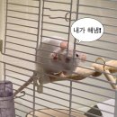 씨씨씨 헤어(CCC 헤어) | 수색동미용실 레이어드 c컬펌 수색역 근처 중단발 파마 잘하는곳 씨씨씨헤어 추천