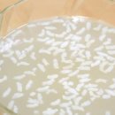 특산물전통시장 이미지