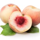 설탕이 그렇게 나쁘다면, 과일 속 당분은 괜찮은 걸까? 이미지