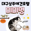 똥강아지 반려견 미용실·호텔 | 대구북구애견호텔 목욕 픽업 집중 케어 가능한 미미멍