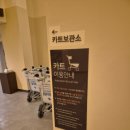 파로스펜션 | 내돈내산 속초여행 꿀팁 대방출 한화리조트 설악 쏘라노 프리미어 스위트 호텔형 2박 찐후기