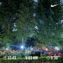 안승떡집 | [우다다다 일상] 26.06 난 수만 번의 긴 밤을 보낸다 해도