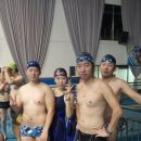 오르카수영 이미지