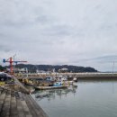 보성다원녹차 판매장 이미지