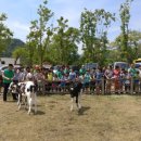 봉양목장 이미지