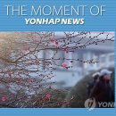 성미 - 사하구 | 성미