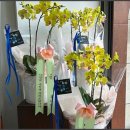 씨유평택고덕센터점 | 평택꽃집, 평택예술의전당 꽃집 감성 충만 24H 플라워 스토리