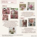 부용로 | Wedding..🤍[06] 가성비 플라워디렉팅 라이크유플라워 비동행 후기