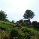 청성애원(주) 이미지