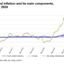 극단 오성 이미지