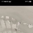 중부대로746번길 이미지