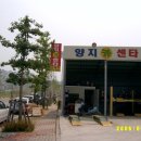 양지카센타 이미지