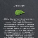 조윤찬 헤어캄