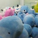 뭐라도 뽑아방 이미지