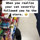 장보러마트 이미지