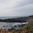 예래작은숲 이미지