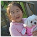 천안휴펜션 이미지