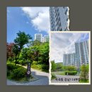 강남114부동산공인중개사사무소 | 강남자곡아이파크 2025년 거래량 자곡동부동산