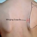 올데이피티 이미지