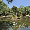 서울 벙개 통보,승인/사전조사용 이미지