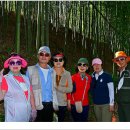 섬진강대나무숲길 이미지