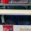 청춘꼼장어
