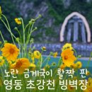 초강 고향의 강 빙벽장 화장실 | 금계국 활짝 핀 영동 초강천 빙벽장