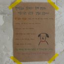 [카페후기] 행궁동 애견동반 카페 _ 우디드커피