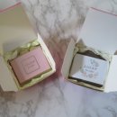 어성애견 이미지