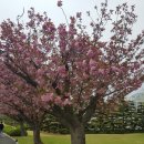 광안어패류시장 이미지