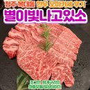 개있소 | 청주 복대동 별이빛나고있소, 한우 오마카세 내돈내산 후기!