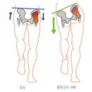 디어필라테스 - 강서구 공항대로 38-4 | 디어필라테스