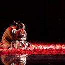 (공연) 국립오페라단 <라 트라비아타> 이미지