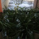 열미리보건진료소 이미지