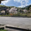 쌍둥이네민박 이미지