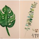 수채화의 세계1,2 이미지