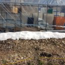 아루농장 이미지