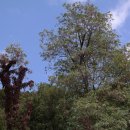 병목안 캠핑장 이미지