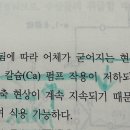 어패류의 사후변화 관련 이미지