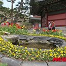 보탑사 주차장 이미지