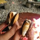 강릉초이 이미지