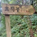 금오산 형곡전망대 화장실 | 경북 구미 형곡 전망대~적지봉~효자봉~엄마봉~도수령